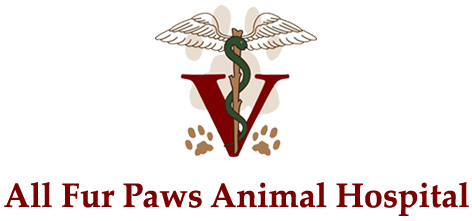 All Fur Paws Animal Hospital